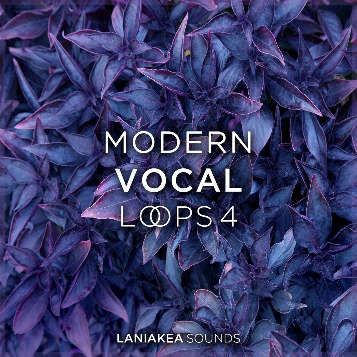 Laniakea Sounds - Modern Vocal Loops 4 Sample Packs Software GUI Artwork